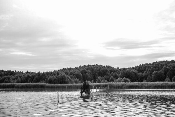 Fischreuse in Groß Schauen