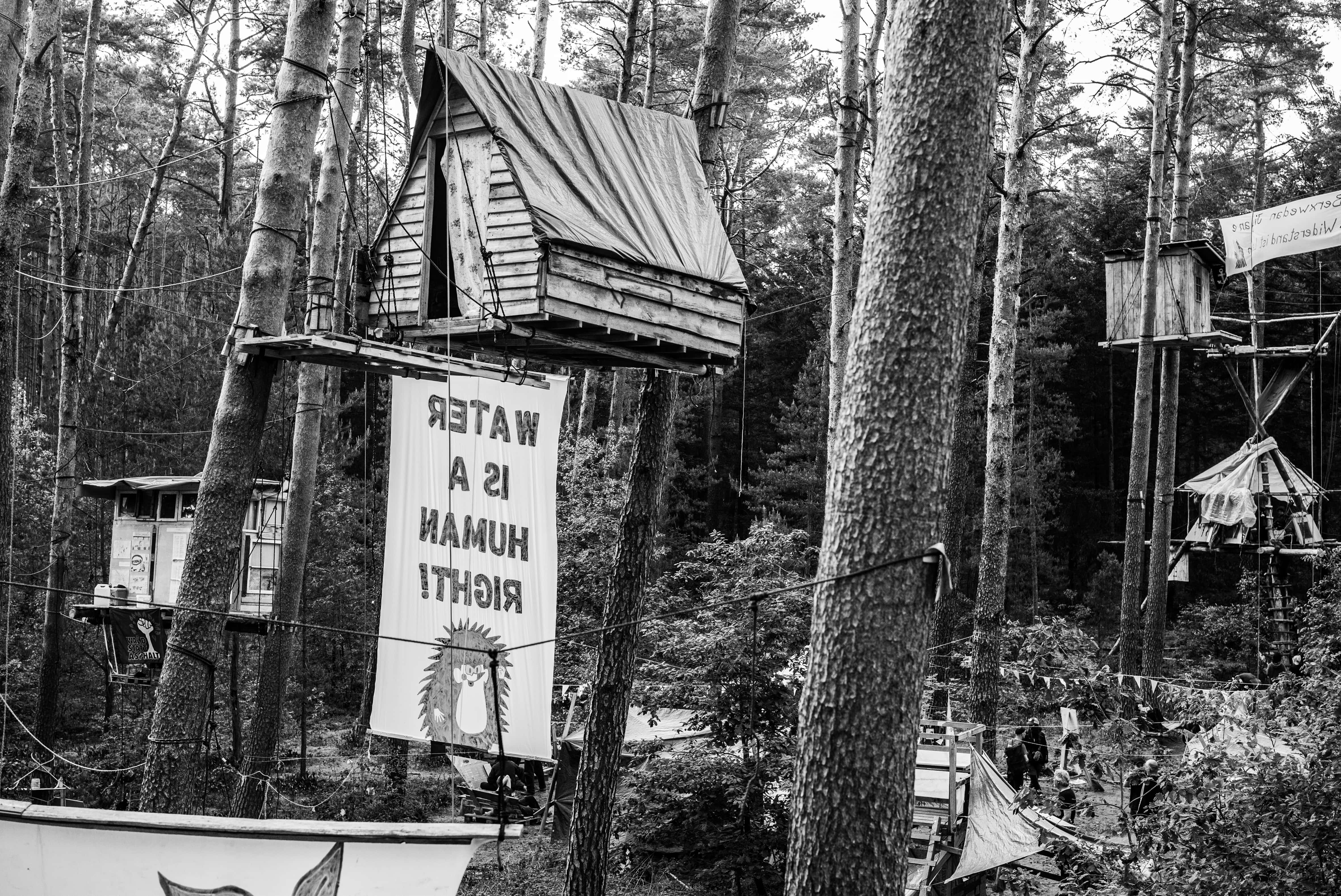 Aktivist:innen besetzen den Wald bei Tesla seit Anfang 2024.