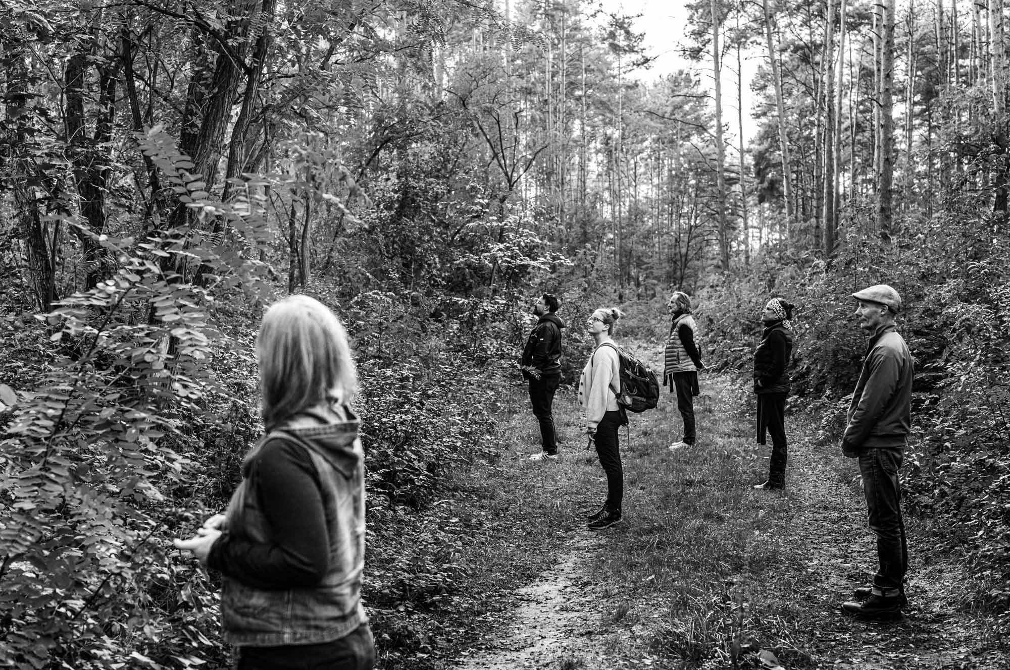 Kontaktaufnahme mit der Natur: eine Gruppe Menschen beim Waldbaden. (Foto: Andreas Batke)